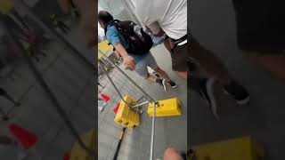 Extreme Winds In Sydney