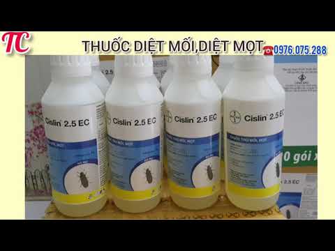 Video CÁCH PHÒNG CHỐNG MỐI MỌT TRƯỚC KHI SẢN XUẤT NỘI THẤT - youtube
