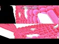 Samsung Logo Balls In Old G Major 89 