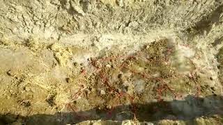 Blasting a large Granite rock on part 2 | rock blasting for road construction live video 2018 |