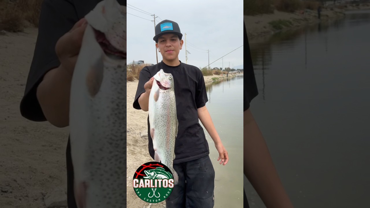 SANTA ANA RIVER LAKES ANAHEIM CA | ONE OF OUR FAVORITE LAKES TO FISH FOR TROUT IN SOCAL | 