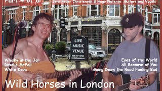 Wild Horses in London - Jerry Garcia Celebration August 1998 (4 of 6)