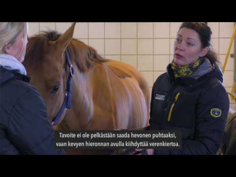 Video: 25 Dollaria WOW Hevonen Tekee Miljoonia