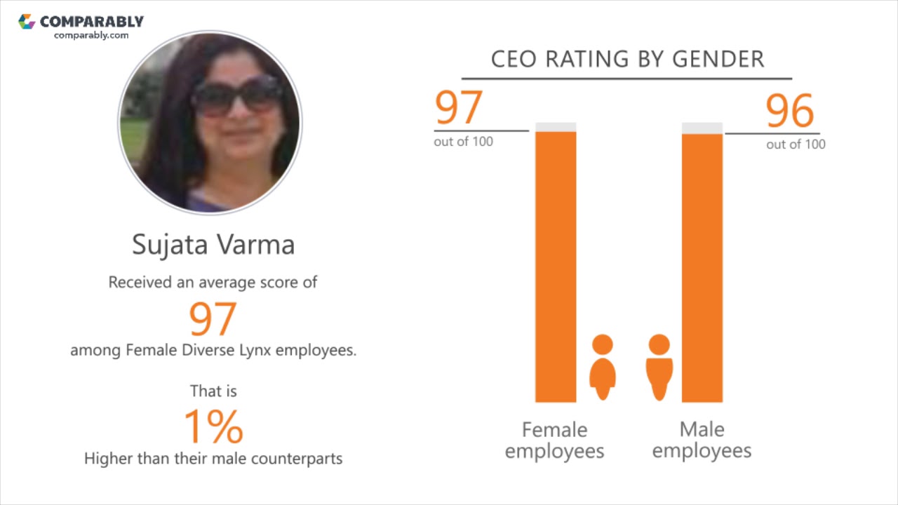 Diverse Lynx's CEO and Work Experience Q1 2019 YouTube