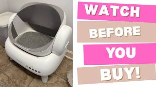 Fresh Step Clean Paws Cat Litter Review 2026 | Multi Cat Odor Control