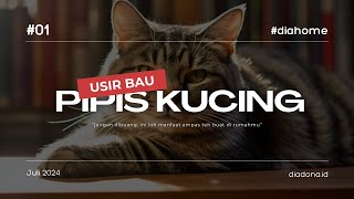 Ini Cara Alami Hilangkan Bau Pipis Kucing yang Mudah Banget