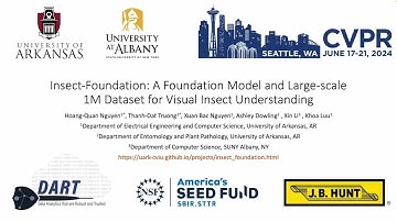 Insect-Foundation: A Foundation Model and Large-scale 1M Dataset for Visual Insect Understanding
