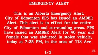 Amber alert during a sunny bunnies 