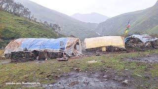 Himalayan Village Life | Nepal | Rainy Day in Dolpa | Real Nepali Life |