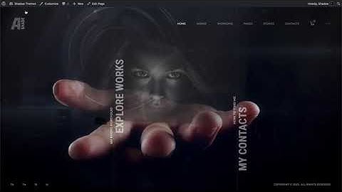 Importing of Demo Content