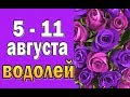 ВОДОЛЕЙ  неделя с 5 по 11 августа. Таро прогноз гороскоп