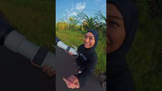 nuri bayan papua❤❤ #burung #burungkicaudialamliar #photography #viral #alamindonesia #viralshorts