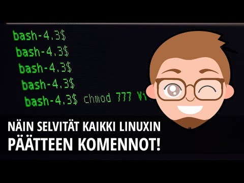 Video: Mitkä ovat yleisimmät Linux-komennot?