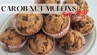 Super Tasty Homemade Dog Treats (anyone can make!) | Carob Nut Muffins 🧁🍫🥜🐶 | WHISKOPETS KITCHEN 😃 |