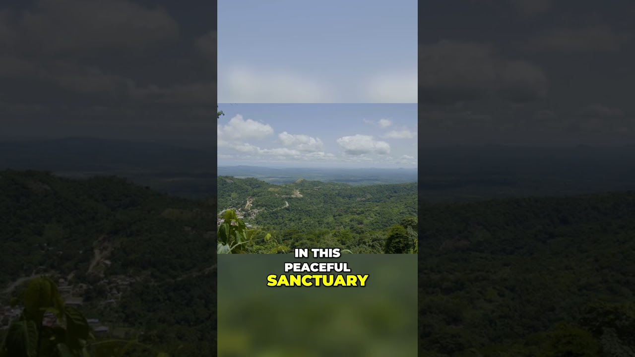 Dunstan-in-the-East: Exploring a Surreal Urban Garden in London