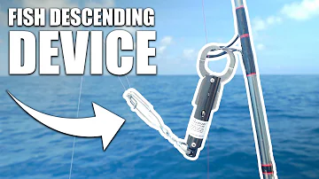 HOW TO USE A FISH DESCENDING DEVICE - Fish release tool