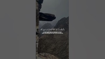 #سورة_التوبة #الآية(111)