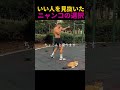いい人を見抜いたニャンコの選択