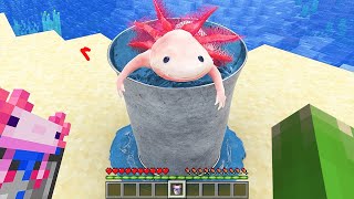 EN EN EN GERÇEKÇİ MİNECRAFT