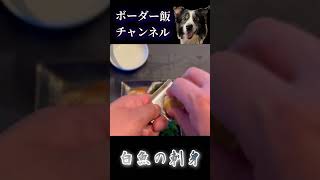 ボーダー飯チャンネル『白魚の刺身』#白魚