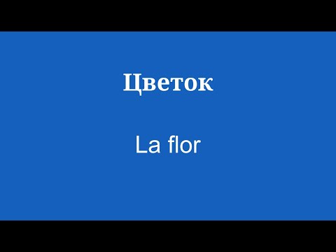 Выучите испанскую лексику за 8 минут