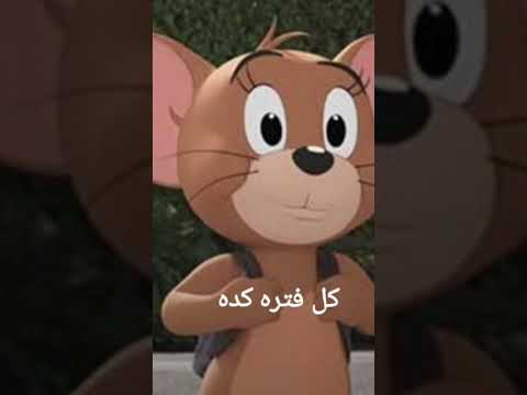 انا اسف يا نفسي