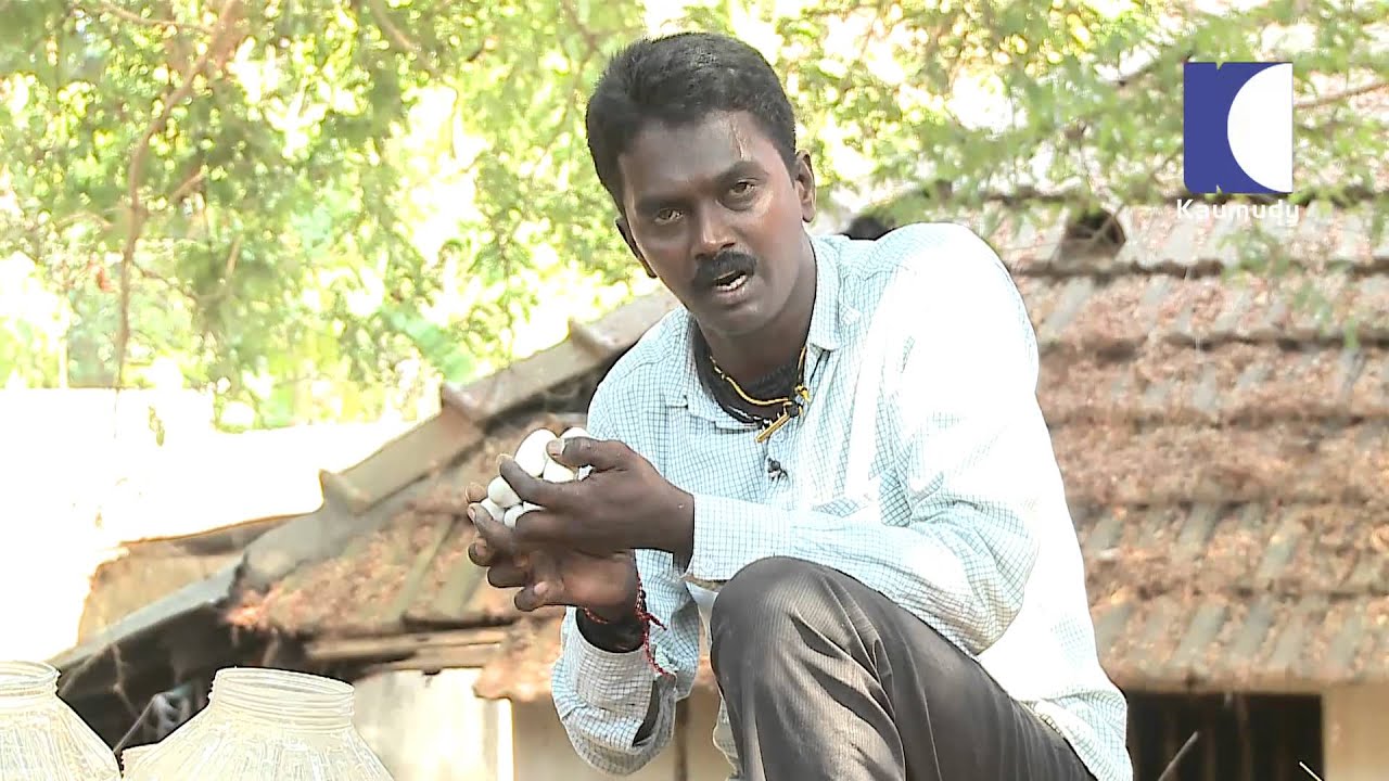 Vava Suresh Teaches us about Varieties of Snake Eggs ( Cobra,Rat Snake ) SNAKE MASTER EPI 27