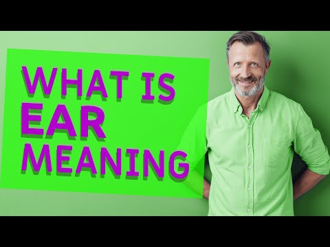 Ear | Meaning of ear