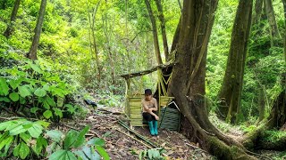 Building a shelter under a giant tree alone from start to finish