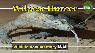 Wildest Hunter E-1 हिन्दी डॉक्यूमेंट्री Wildlife documentary in Hindi @NatureOfEarthHindi