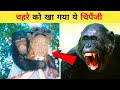 7 पालतू जानवर जो अपने मालिक को खा गए | janwar jo apne malik ko kha gaye |Animal That Ate Their Owner