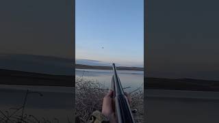 Her Avcının Aşık Oldugu O An Ördek Avimuhteşem Vuruşlar