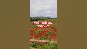 Vườn trái cây Châu Đức, đẹp mê ly