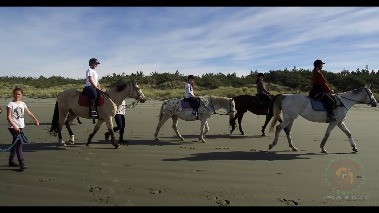 Pony Parties   Beach Rides HD 1080p