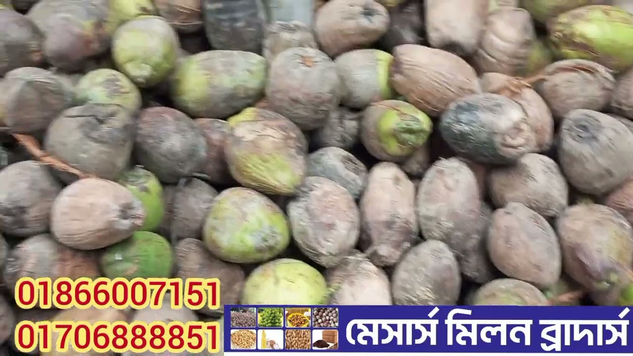 #coconut business idea#নারিকেলের ব্যবসার আইডিয়া পাইকারি নারকেল কিনে ব্যবসা করুন #লক্ষীপুর থেকে 