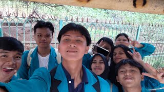PIMMS GROUP XI F4 (MAMALIA)