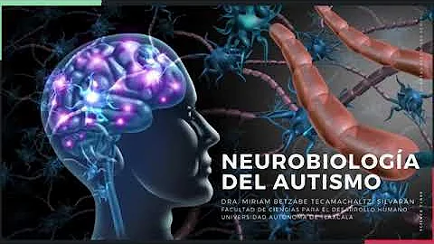 ¿Qué parte del cerebro muestra autismo?