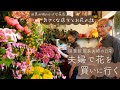 大通り沿いの小さな花屋「花すけ」 / 花を長持ちさせる方法, 花屋の「母の日」, バレンタイン, 朝事情, 花すけのフリーペーパー