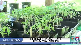 Heritage Plant Sale at Hanley Farm