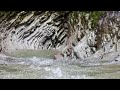 Свирское ущелье осенью 2021 года. Воды очень много, водопады впечатляют. #свирскоеущелье