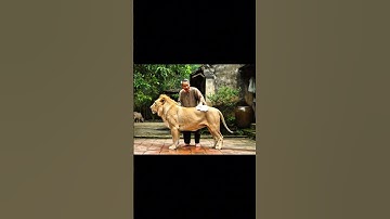 Việc nhẹ lương cao các cháu ơi #ai #xuhuongtiktok