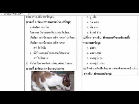 โปรแกรมแก้ไขเอกสาร 2022 New โปรแกรมแก้ไขเอกสาร PDF