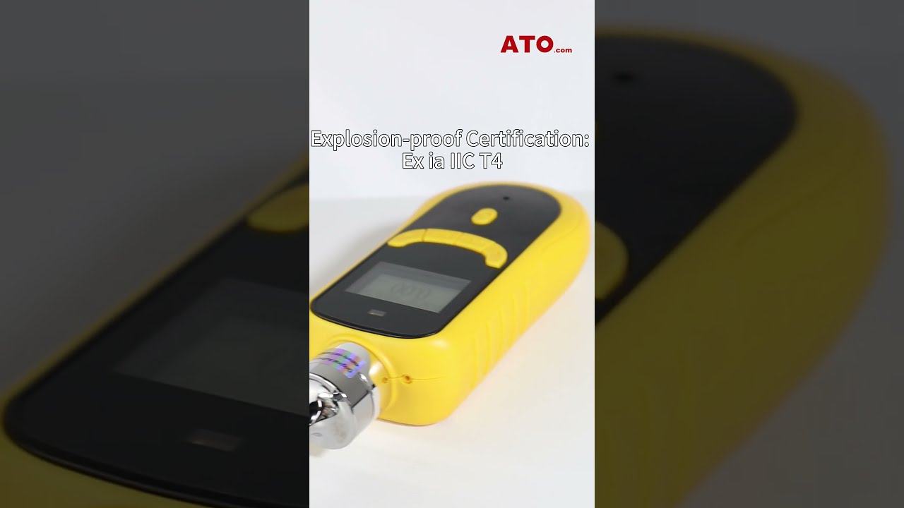 Portable Hydrogen Sulfide H2S Gas Detector With Electrochemical Probe