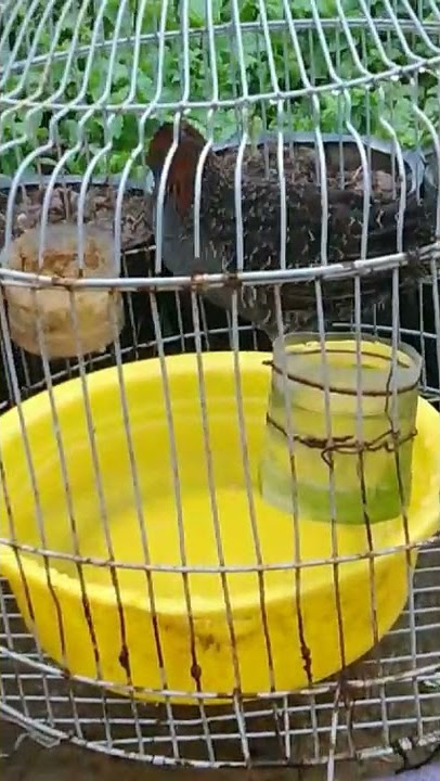 chàng nghịch anh em nào thích LH 0944652913