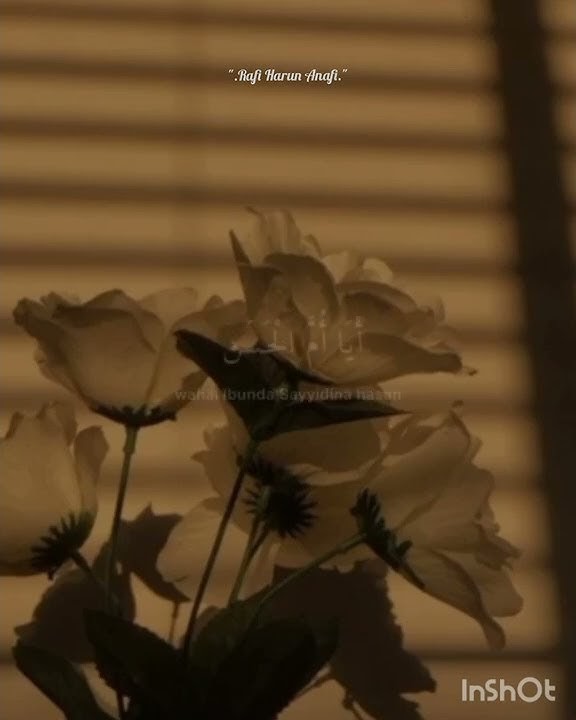 Sholawat Al Batul story' WA 26 Januari 2022