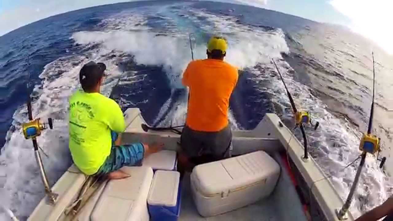 HD Fishing co. Mahimahi for dinner!