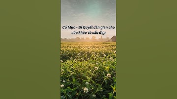 🍵 Cỏ Mực – Bài thuốc dân gian giúp hạ sốt, đen tóc, mát gan cực hay!