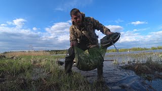 картинка: Весенняя раздача Сопы (Синца) | Супер улов |Запасся вяленкой на год!