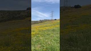 مناظر أكثر من رائعة في جهة ملوسة طنجة، لمحبي الطبيعة #المغرب #tanger #maroc