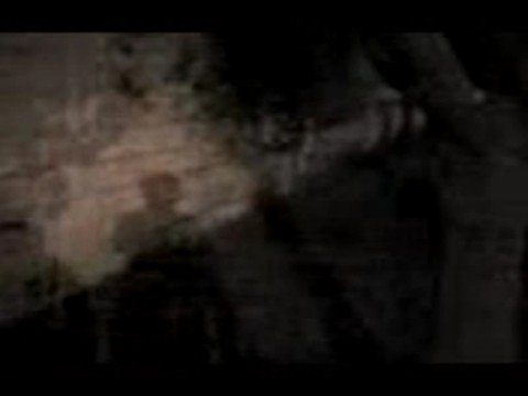 duendes reales - YouTube